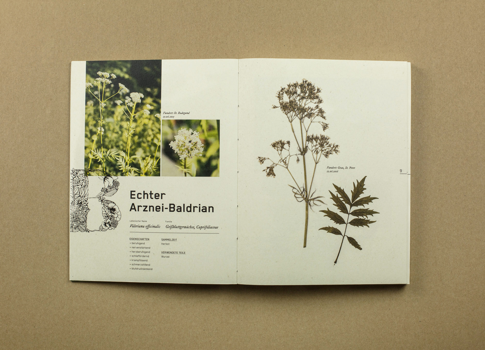 _56B2959-Bearbeitet
