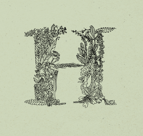 Herbarium_GIF