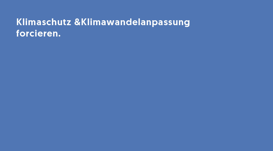 01_NZL-2